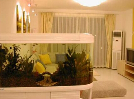 客厅养几条鱼最吉利