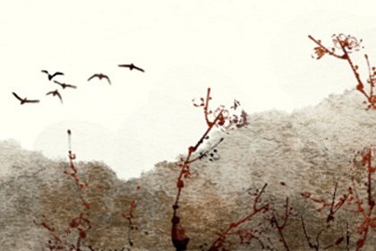 做梦梦到发大水了预示着什么