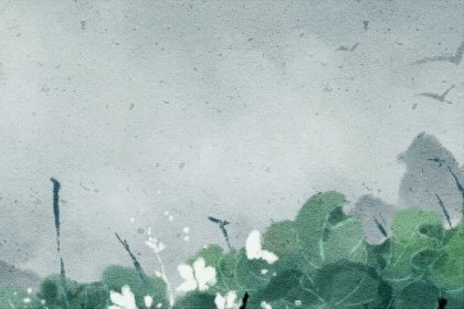 女人梦见玉米杆是什么意思