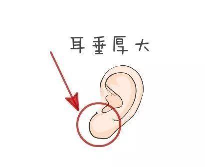 卜卦算命几个孩子的命