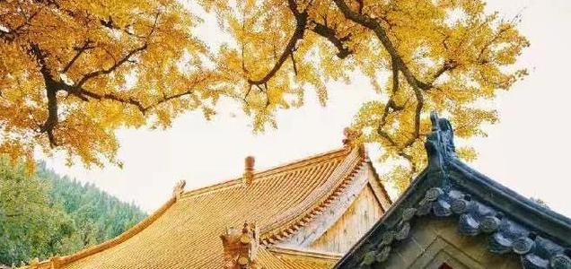 什么风水轮流转都是假的