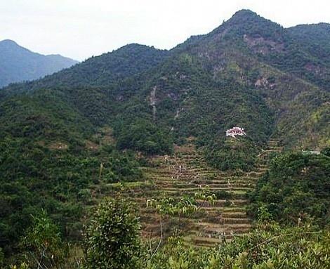 利事业的风水头像