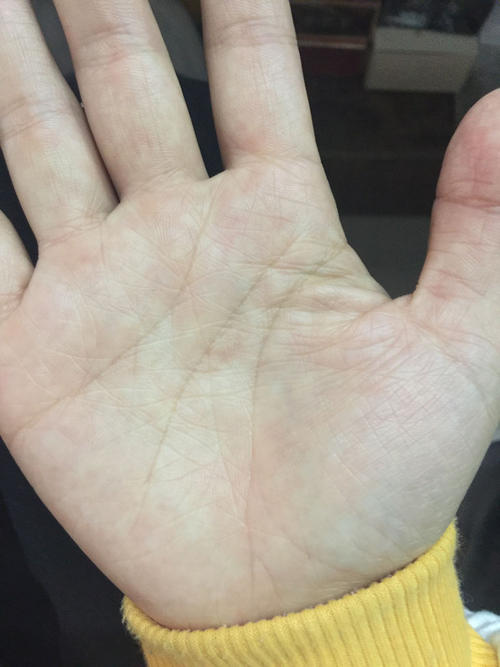 看手相是看左手还是右手