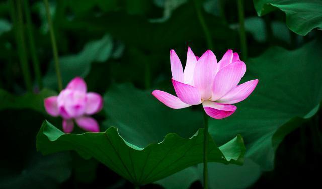 命中有正缘的征兆