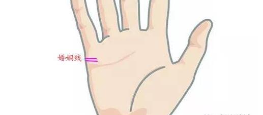 看手相是男左女右吗