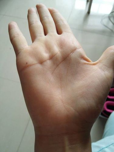 看手相是男左女右吗