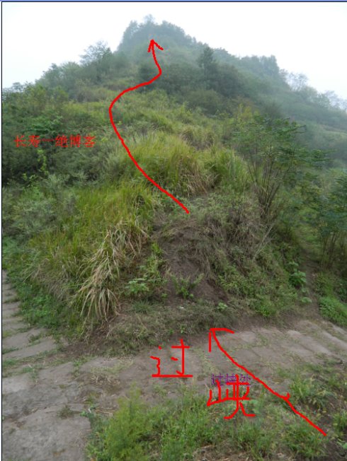 怎么看坟地风水