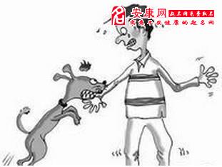 孕妇梦见狗咬人是什么意思