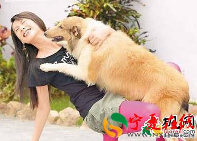 孕妇梦见狗咬人是什么意思