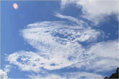 梦见了什么好奇的梦