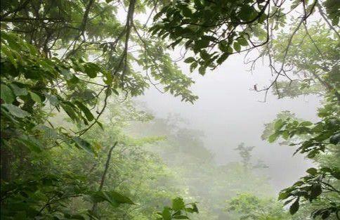 风水中的朱雀是什么