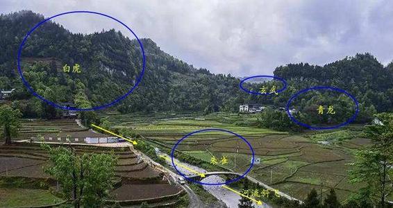 风水中青龙是什么