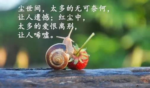 我梦见了他说明什么