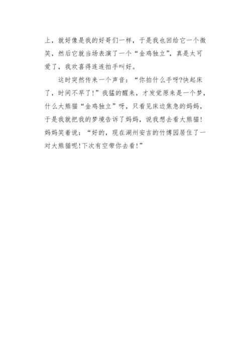 我梦见了什么作文500字
