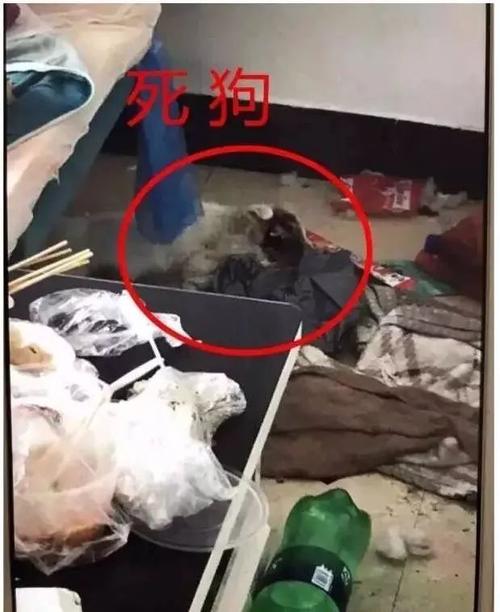 梦见了死人吐血是什么意思