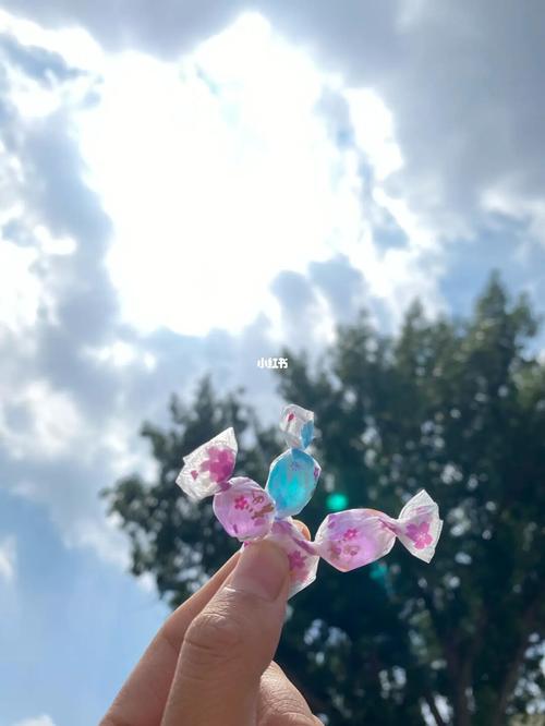 家里人走了后为什么只有我梦见了