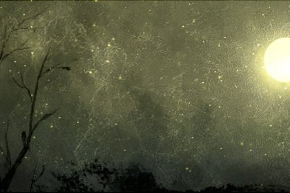 梦见自己孩子走丢了预示什么