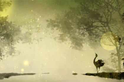 梦到杏树结满成熟的果实