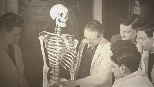 活人睡东西死人睡南北