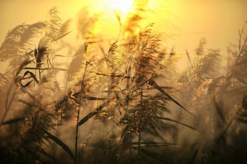 为什么梦见了天堂