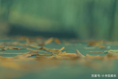 梦见了一个人代表什么