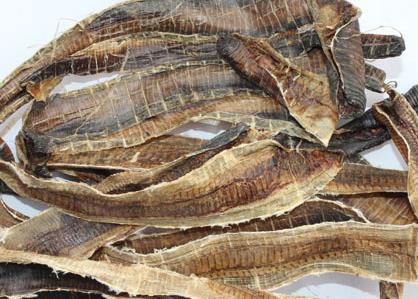 风水中地龙是什么