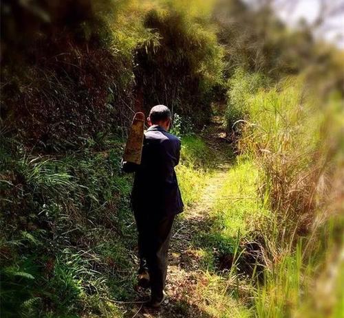 梦见村里有人死了