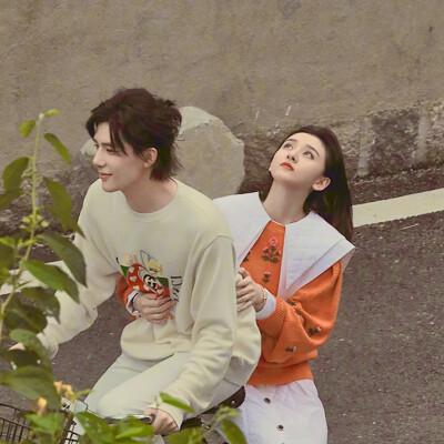 陪你逐风飞翔好看吗