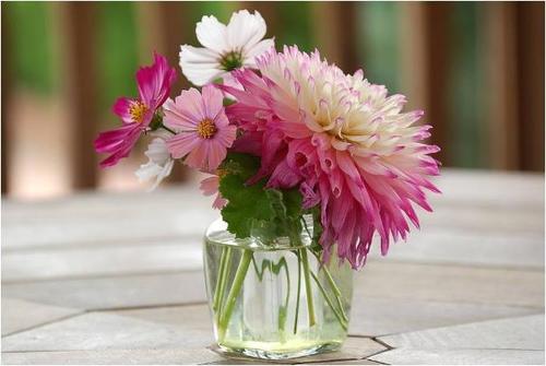 梦见有人送花是什么意思