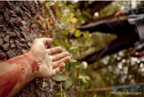 梦见有人在我面前杀人