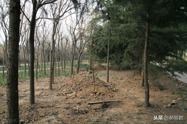 又梦见有人诬陷我