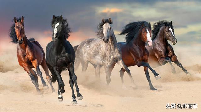 又梦见有人诬陷我