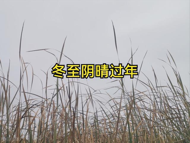 冬至的农谚俗语