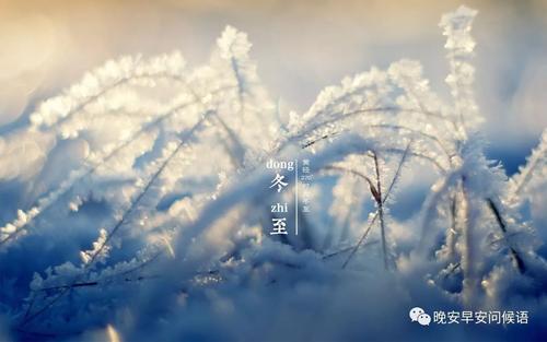 冬至的早安问候语