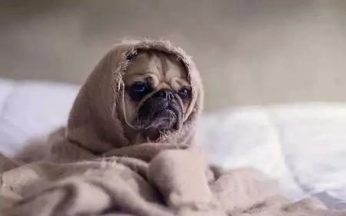 做梦梦见有人问我要钱