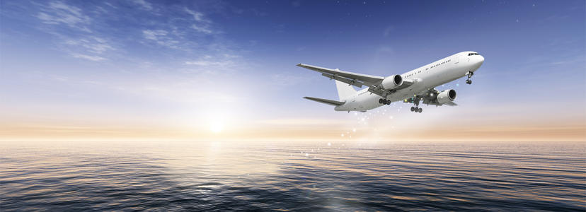 梦见坐飞机有人同行