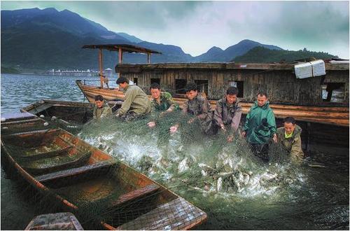 梦见有人在捕鱼