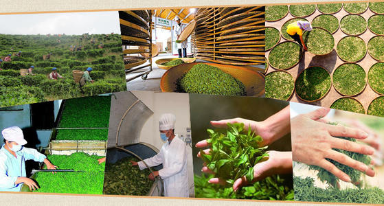 梦见有人送茶叶给我