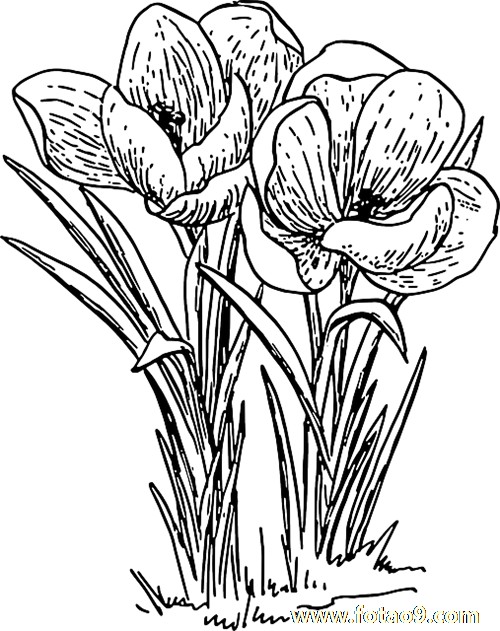 梦见有人闯入家中