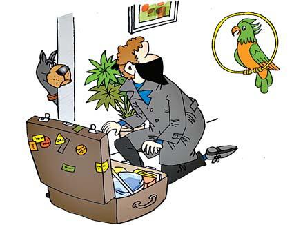 梦见有人送我种子