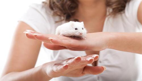 梦见有人咬我的手