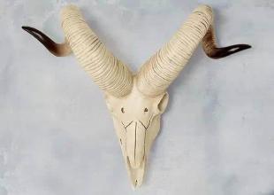 五种不祥物家中千万不能摆