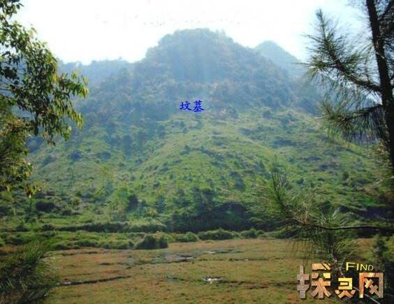 农村看坟地绝招