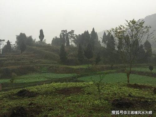 看风水视频走乡下