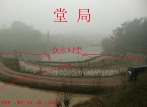 风水师的下场都不好