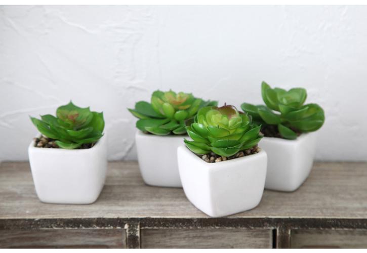 家里摆什么物件好